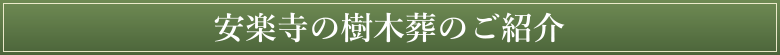 奈良安楽寺の樹木葬のご紹介